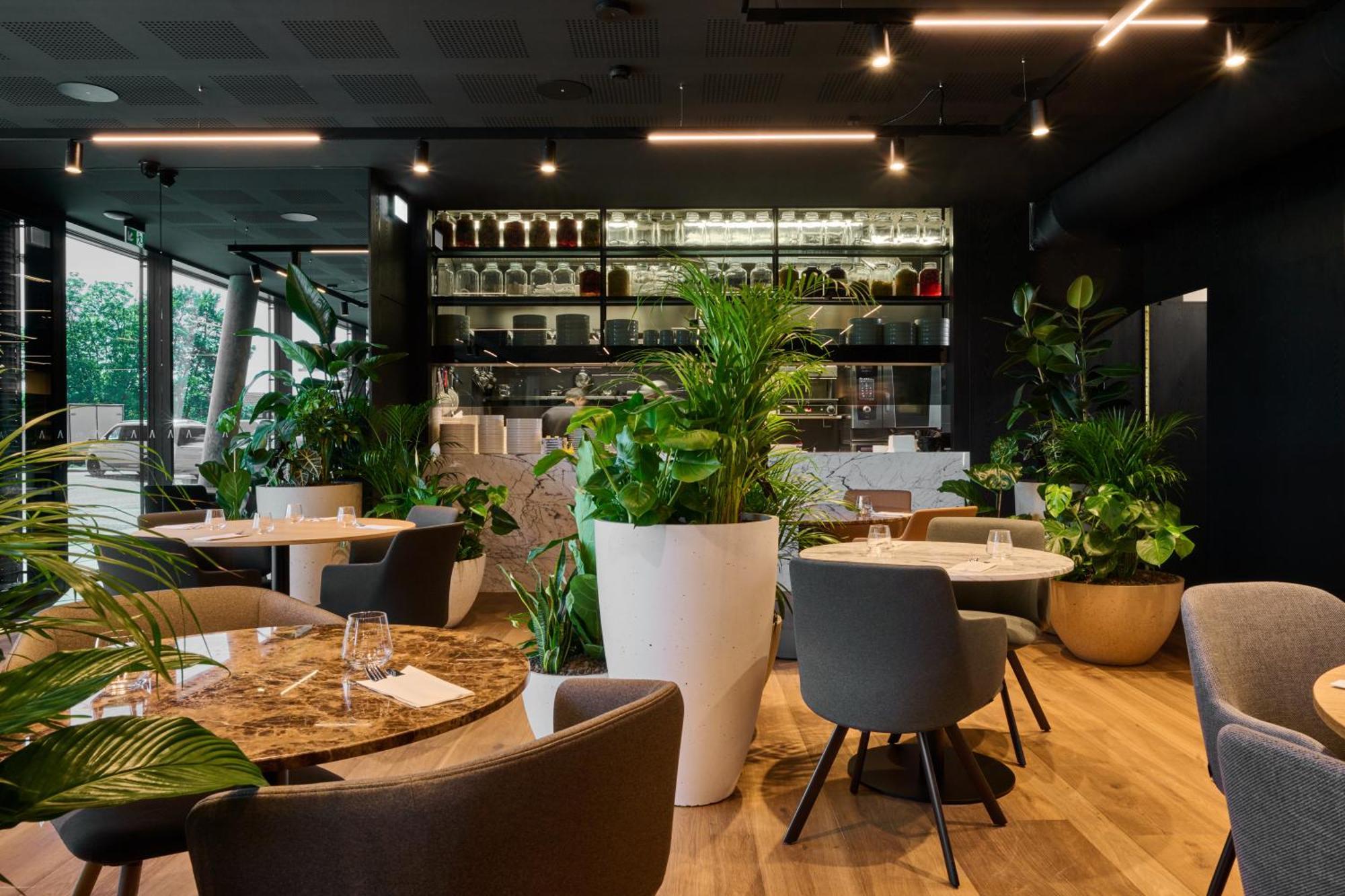 Aba Apartments Оломоуц Экстерьер фото